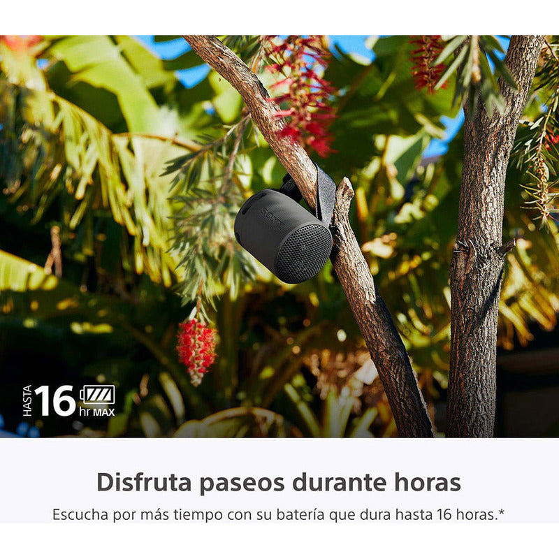 Parlante Inalámbrico Portátil Sony Xb100 Bluetooth Negro