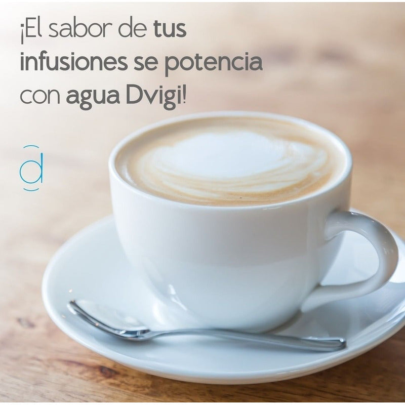 Filtro Purificador De Agua Dvigi As Plus Elimina Arsénico Color Oro