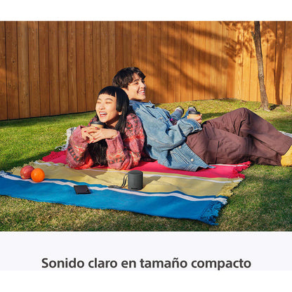 Parlante Inalámbrico Portátil Sony Xb100 Bluetooth Negro