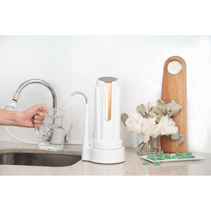 Filtro Purificador De Agua Dvigi As Plus Elimina Arsénico Color Oro