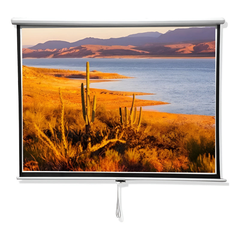 Pantalla Proyector 84 Pulgadas Blanco Mate Oem Backup