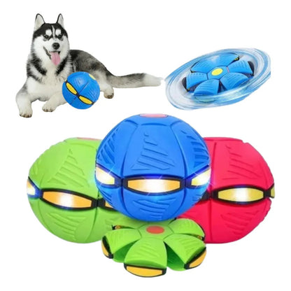 Pelota Mágica Disco Volador Con Luz Juguete Niños O Mascotas - - Violeta