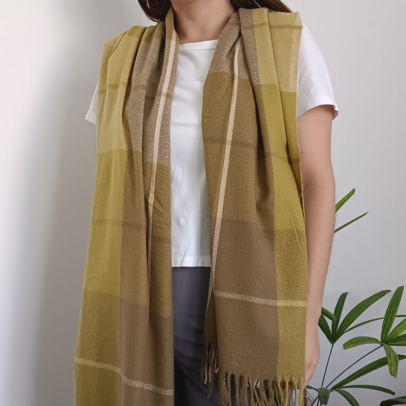 Chalina Bufanda Pashmina De Dama Afelpada Liviana Y Sauve Verde