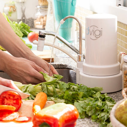 Filtro Purificador De Agua Dvigi Compact Rinde 7000 Litros Blanco