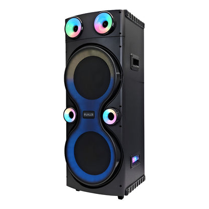 Parlante Goldtech 12×2 80w Rgb Fm Bt Usb Negro