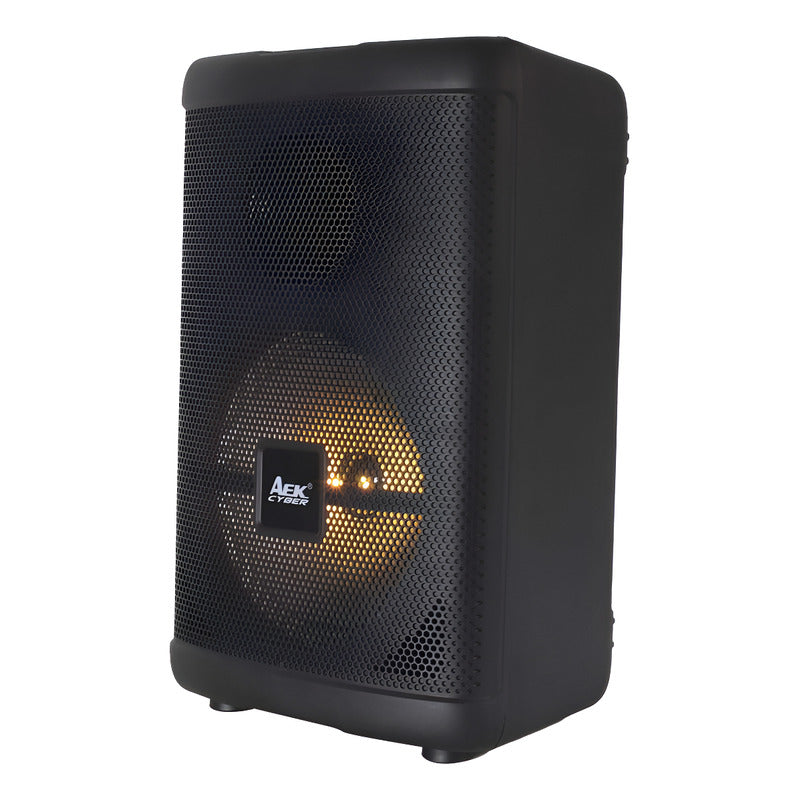 Parlante Portátil Aek S-10808 8'' Karaoke Bt Usb Micro Luz Negro