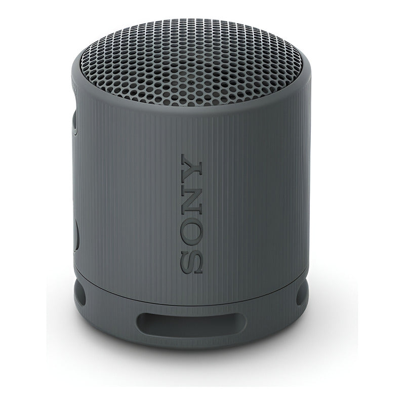 Parlante Inalámbrico Portátil Sony Xb100 Bluetooth Negro