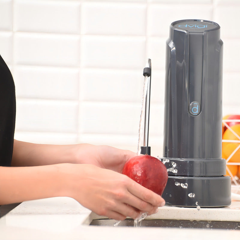 Filtro Purificador De Agua Aqua Dvigi Dvg 102 Dura 14000l 18meses Gris Lobo