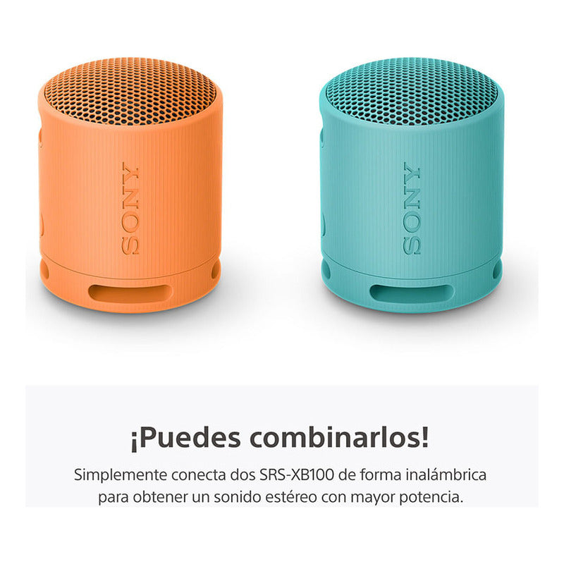 Parlante Inalámbrico Portátil Sony Xb100 Bluetooth Negro