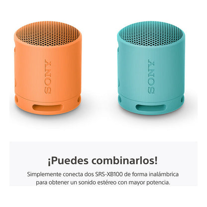 Parlante Inalámbrico Portátil Sony Xb100 Bluetooth Negro