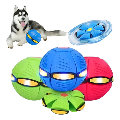 Pelota Mágica Disco Volador Con Luz Juguete Niños O Mascotas - - Azul